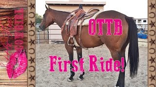 EX RaceHorse First Ride DAY 2 [upl. by Gen864]