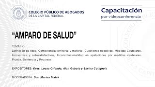 Videoconferencia quotAmparo de saludquot [upl. by Nagram]