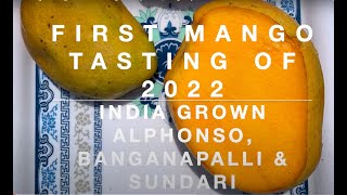 First mango tasting of 2022 India grown Alphonso Banganapalle amp Sundari [upl. by Diamond]