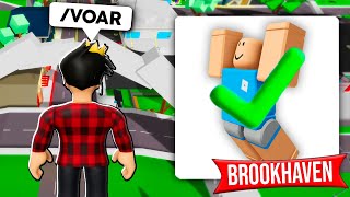 BUG de COMO VOAR no Brookhaven [upl. by Lledor]