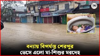 পাহাড়ি ঢলে বিপর্যস্ত শেরপুর  Flood News  Sherpur  Mymensingh  Ajker Darpon [upl. by Florine57]