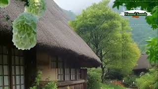 Beautiful Rain Scene।। Rain video status।। Rainy Season Status।। Swiss village।। RI Natural [upl. by Urata]