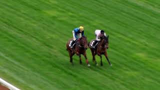 17 Sep Gallops Gallop 6 [upl. by Tremaine]