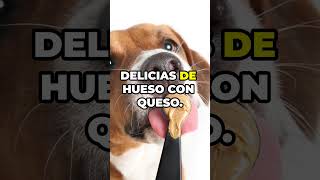 Golosinas faciles de hacer para tu perro [upl. by Oniluap]