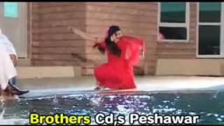 A NEW PASHTO SONG OF NAZIA IQBAL ISHQ LOYA MARTABA DA BY MALIK MUSADIF BANGASH [upl. by Fiel]