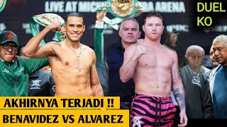 Saul Canelo Alvarez vs David Benavidez Terwujud  Tinju Dunia Hari Ini  Tinju Dunia 2024 [upl. by Gerta]