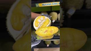 D197 DURIAN MUSANGKING durian durianmusangking masduren [upl. by Johansen]