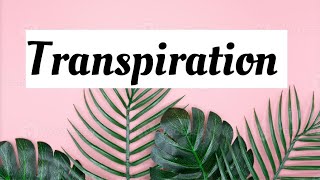 Transpiration advantages and disadvantages [upl. by Flowers]