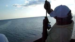 Pier Fishing Panama City Beach [upl. by Siger]