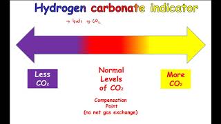 CCEA GCSE Biology Unit 1 Photosynthesis 5 compensation points [upl. by Roderick]