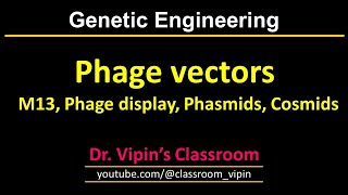 GE7  Phage Vectors  M13 Phage Display Phasmids and Cosmids [upl. by Amitaf]