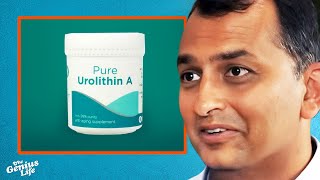 The INSANE Longevity Benefits of Urolithin A  Dr Anurag Singh [upl. by Morrison513]