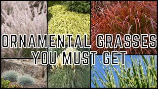 12 Ornamental Grasses Perfect For Your Landscape 🌾 [upl. by Anej327]