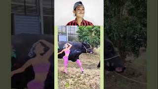 Try Not to Laugh Challenge 56🤣 funny shorts viral [upl. by Cato]