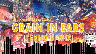 Dj Lizven ft Mang Chủng  Grain in Ear Tekno Remix [upl. by Leeland]