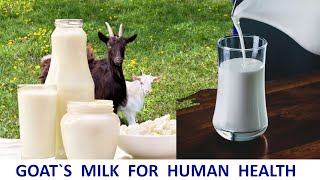 BENEFITS OF NUTRITIOUS GOATS MILK TO HUMAN HEALTH dairygoats goatfarming dairyfarming [upl. by Aicinet]