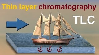 Thin Layer Chromatography TLC animation 2 [upl. by Marven306]