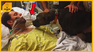 Family Brings Dog To Say Goodbye To Owner In A Coma Dog’s Reaction Is [upl. by Dnomsad]