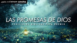 Las Promesas de Dios  Versiculos Biblicos Para Dormir [upl. by Ecnatsnoc]