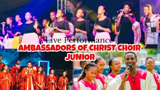 Ambassadors of Christ Choir Junior  Indirimbo nziza cyane Live concert 2024 [upl. by Nelehyram974]