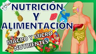 CONCEPTOS BÁSICOS DE NUTRICIÓN Y ALIMENTACIÓN  GuiaMed [upl. by Oster]