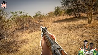 Mon plus beau phacochère En chasse au petit gibier Magnifiques moments à la passée Senegal [upl. by Libby488]