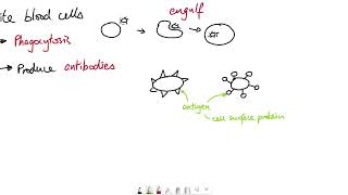 AQA GCSE  B5 Communicable diseases OVERVIEW [upl. by Richey]