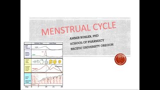 Menstrual Cycle Detailed video 3 of series Buhler [upl. by Niwhsa307]