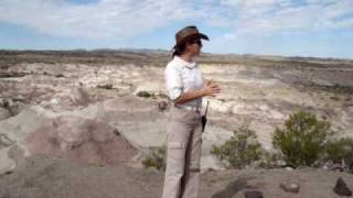 Ischigualasto 2da Estación Valle Pintado HQ HD [upl. by Daren158]