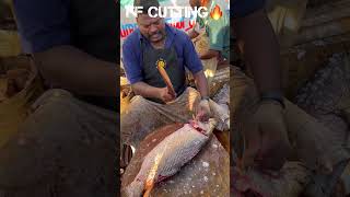 KASIMEDU 🔥 SPEED SELVAM BARRAMUNDI FISH CUTTING VIDEO kasimeduselvam fishcutting youtubeshorts [upl. by Maje708]