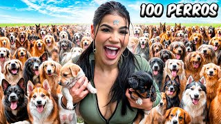 ADOPTÉ 100 PERROS en MI CASA [upl. by Derfla811]