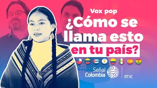 HISPANOHABLANTES discuten las diferencias del IDIOMA ESPAÑOL en cada país [upl. by Eleumas]