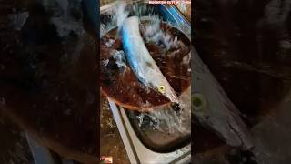 Watch How to Cut Clean and Fillet a Ribbon Fish in Under 60 Seconds 🦈 ribbonfish fishclub shorts [upl. by Asilam781]