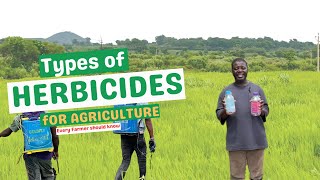 TYPES OF HERBICIDES IN AGRICULTURE Every Farmer should know Understanding the different herbicides [upl. by Suiratnauq]