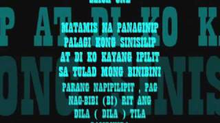 MATAMIS NA PANAGINIP breezy boys LYRICS [upl. by Hadeehsar]