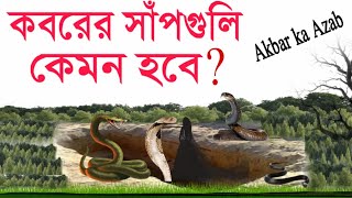 পাপীর জন্য কবরে সাঁপগুলি কেমন হবে   Kaborer Ajab  কবরের আযাব  জাহান্নমের আজাব  Islamic Video [upl. by Winsor490]