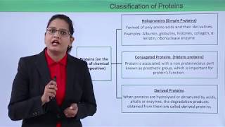 Class10th – Protein Classification  Biomolecules – Protein  Tutorials Point [upl. by Lambart933]