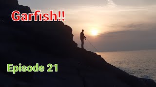 Sea Fishing North Wales  The 2023 Species Hunt  Garfish [upl. by Ys]