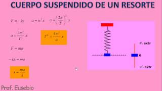 Movimiento Armónico Simple  Sistema cuerpo resorte [upl. by Abner736]