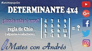 Determinante de una matriz 4x4 ¿Dónde está el ERROR [upl. by Alyworth]