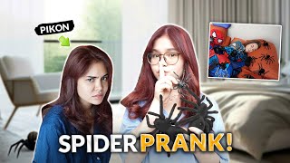 SPIDER REVENGE PRANK  IVANA ALAWI [upl. by Annoynek104]