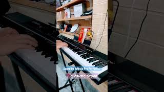 Piano Artesia Pro Performer piano review reviewpiano epiano pianodien pianogiare demosound [upl. by Airla956]