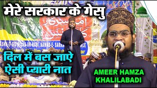 Mere Sarkar Ke Gesu  Heartfelt Naat by Ameer Hamza Khalilabadi [upl. by Wellington]