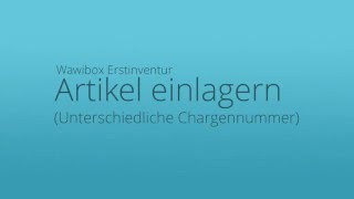 Wawibox Pro  Erstinventur  Artikel einlagern unterschiedliche Chargennummern [upl. by Weidman457]