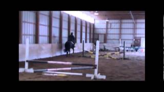 Dante MG Chin Chin x Glennridge Jumping with Carly at home after stallion test [upl. by Otaner]