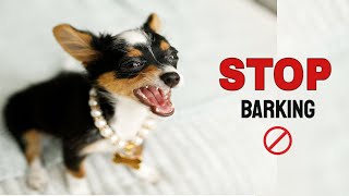 Stop Puppy Barking sound to stop puppy barking at strangers and other dogs [upl. by Esta553]