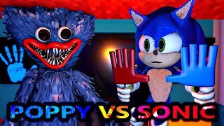 NEW Poppy Playtime VS SONIC Steve Vs Huggy Wuggy Minecraft Animation Monster Movie Story [upl. by Anrat]