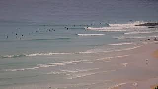 Snapper Rocks  August [upl. by Merla]