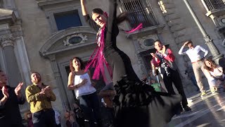 María Beautiful Flamenco dancer in Granada [upl. by Rasec]