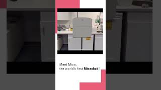 See how Mica fits into your lab [upl. by Otrebtuc]